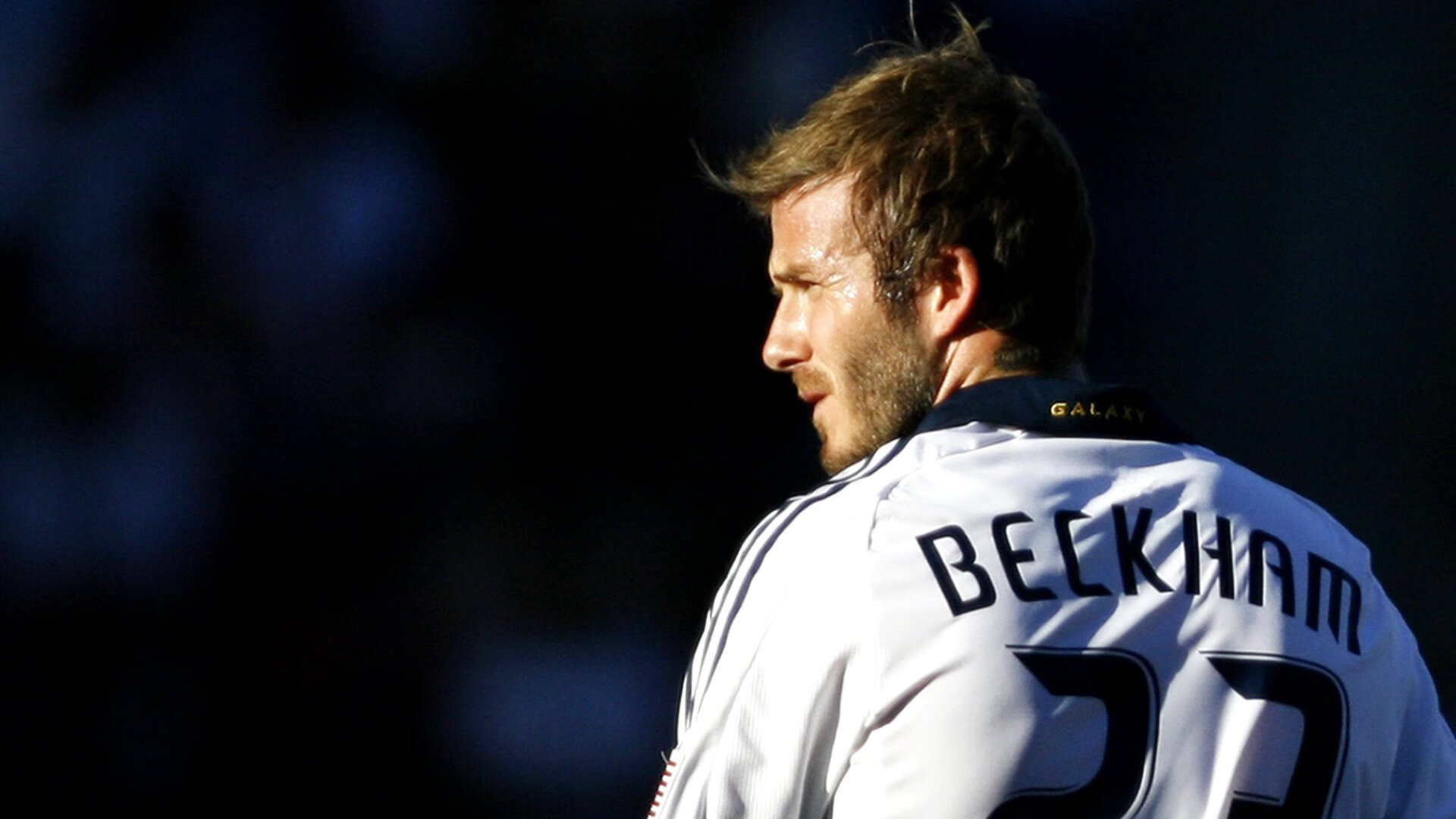 技术雷达图显示划水效率进步明显